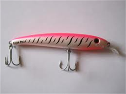 PINK TIGER (T113)