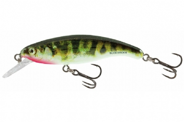 HOLOGRAPHIC STICKLEBACK