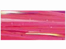 D007