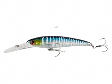 WAHOO 016