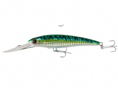 GREEN MACKEREL 018