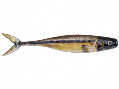 BERKLEY POWERBAIT THE CHAMP JERK MINNOW 3.4''