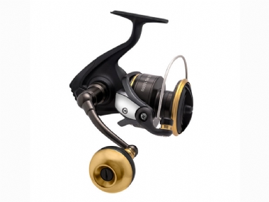 DAIWA BG MQ H ARK (2021)