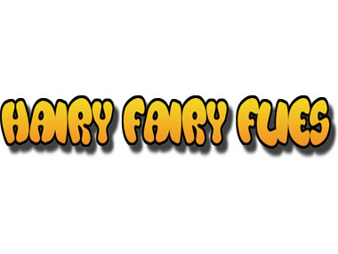 HAIRY FAIRY FLIES