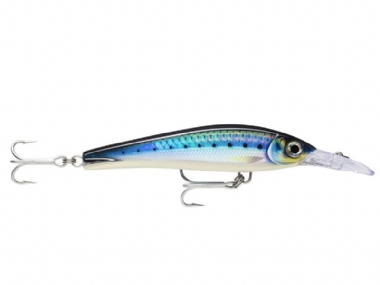HD BLUE SARDINE