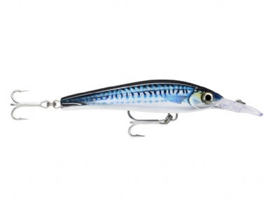 HD SILVER BLUE MACKEREL