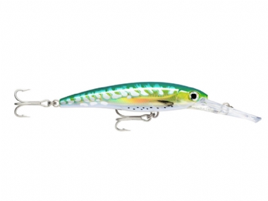 SHARK MACKEREL UV