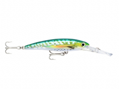 SHARK MACKEREL UV