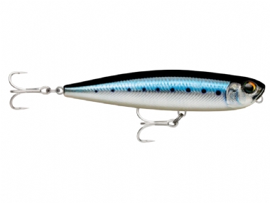 LIVE BLUE SARDINE (BSRDL)