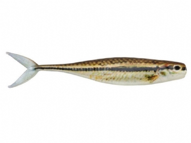 HD BLACKNOSE SHINER