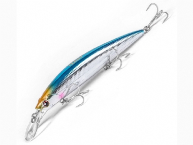 DAMSAILFISH 173