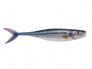 HD BABY BASS