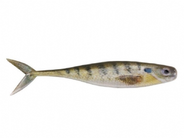 HD BLUEGILL