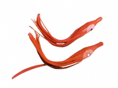 GANIS SQUID 3