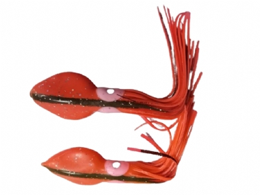 GANIS SQUID 4