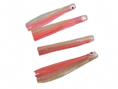 GANIS SQUID 1