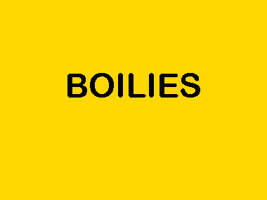 BOILIES