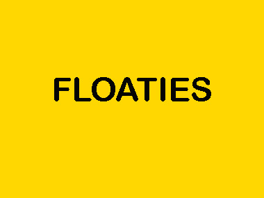 FLOATIES