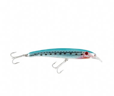 PILCHARD (H50)