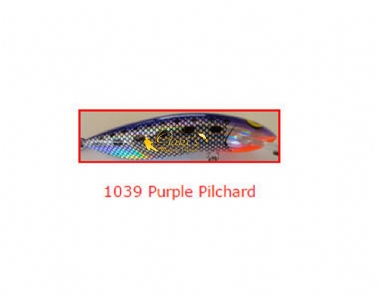 PURPLE PILCHARD (1039)