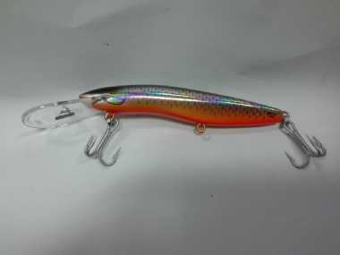 MULLET (1059)