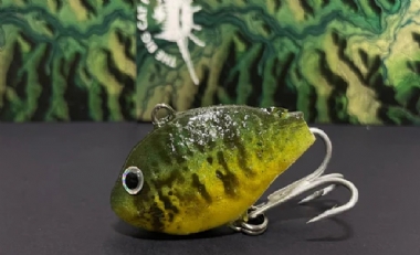 VLEI KURPER