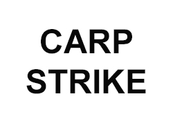 Carp Strike