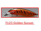 GOLDEN SUNSET