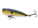 PRETTY SHAD