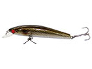 OLIVE SHAD