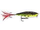 LIME FROG