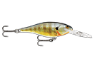 BLUEGILL 