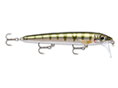 YELLOW PERCH