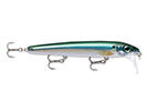 BLUE BACK HERRING