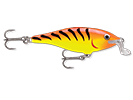 HOT TIGER