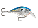 BLUE SHAD