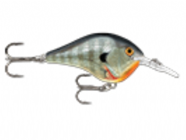 BLUEGILL