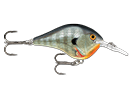 BLUEGILL