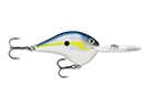 HELSINKI SHAD