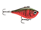 RED CRAWDAD