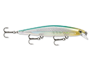 BLUE BACK HERRING