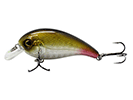 GOLDEN SHAD