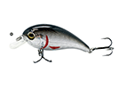 SILVER SHAD