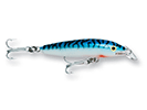 SILVER MACKEREL