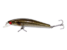 OLIVE SHAD