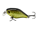 GOLD SHAD