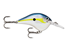 HELSINKI SHAD