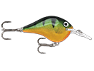PERCH