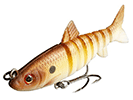 CARP