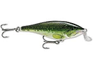 BABY BASS
